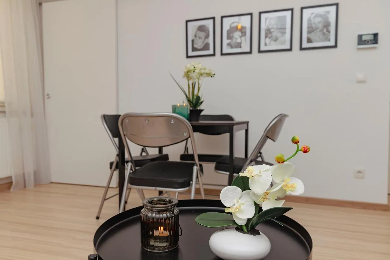 Beautiful 2-Bedroom Apartment Near Schoenbrunn Vienna